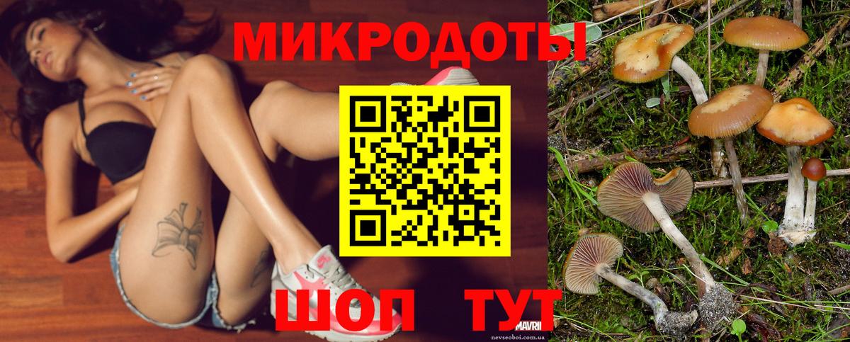 Нурлат  где можно купить наркотик  Вход с VPN  Псилоцибиновые грибы Psilocybine cubensis 